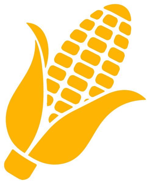 Maíz